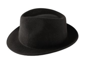 My Wide Trilby BCBG Couture